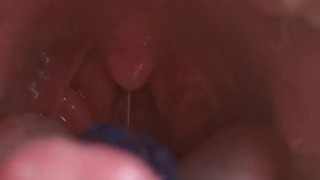 Gummy bears vore giantess Debora