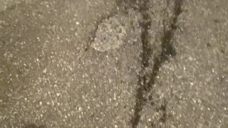Naughty Girl Squats in her driveway and unleashes her Powerful Piss Fountain for the public to see