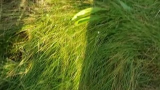 Huge twink cumshot after a long run