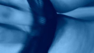 Im Blue with Bush