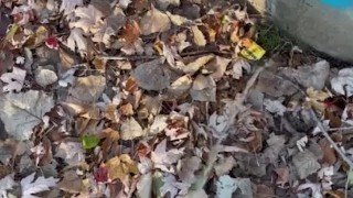 Eddie De Luca Pissing On Condom Wrapper