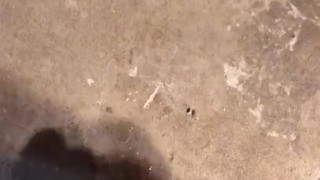 Nice cumshot after school!