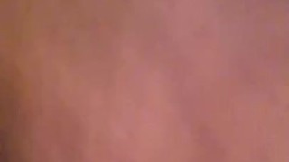 Sempre voglia 