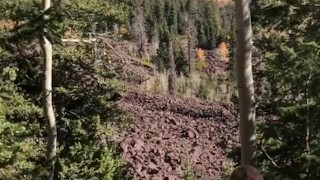 On a cliff