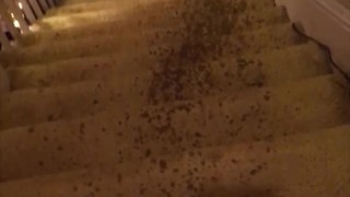 Naughty Pawg Slut Sprays a Powerful Pee Fountain down the steps with a Wet Fart