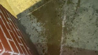Naughty Slut is too lazy to use the bathroom and opens up the door and pisses outside!