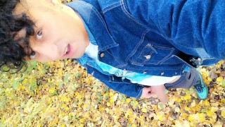 Autumn peeing on dry leaves in a park