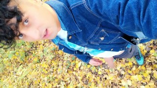 Autumn peeing on dry leaves in a park