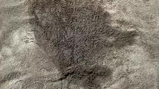 Naughty Piss Slut Soaks a towel with a very full bladder