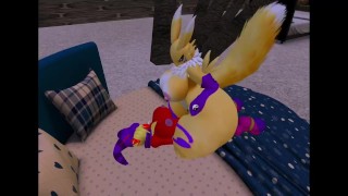 Renamon X Blaziken