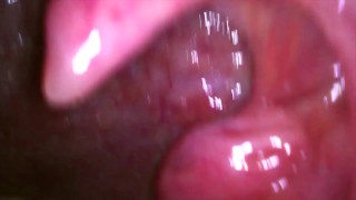 Stepson Stepped On or Sallowed: Version #2 PREVIEW