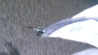 Bbc dick flash