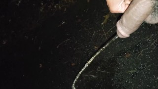 Dick flash bbc