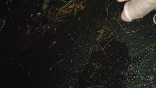 Dick flash bbc