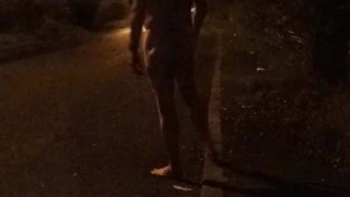 Nude walk down road 
