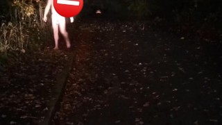 Public naked walk