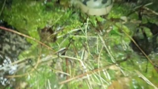 After fuck outdoor twink found broken condom and his ass wet - He cum again on broken condom