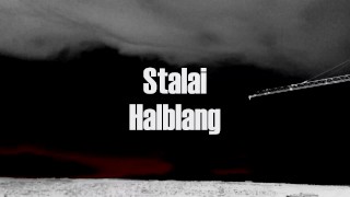 Stalai - Halblang (Official Audio)