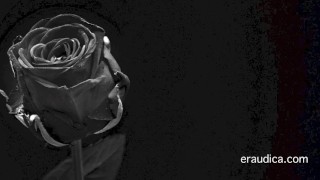Erotic 3 - Positive, man-loving erotic audio by Eve's Garden