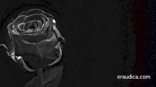Erotic 3 - Positive, man-loving erotic audio by Eve's Garden