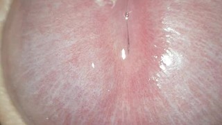 Playing with foreskin, precum, close-up. 4k, 60fps