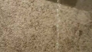 breaking no nut (and no piss) november, fuck it