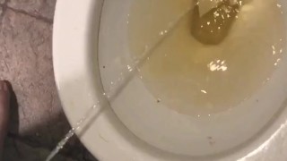 Early morning stream
