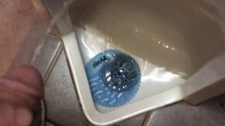 public urinal piss and play
