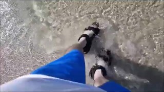 Sun,Sands,Seas for my feet!