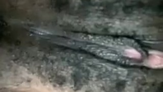 tiny squirt