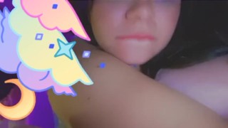 Butterfly Bouncy 