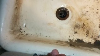Just a small piss In a dirty sink.