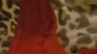 Collared submissive whore pisses her pants.