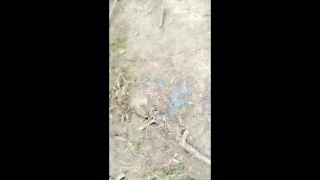 So horny that his cock leaks cum out of semi hard dick public