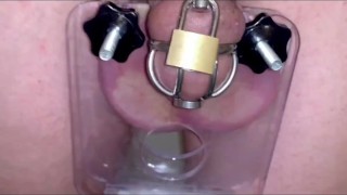 Chastity cage sissy squeeze balls 