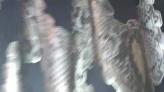 Man dressed as beautiful woman