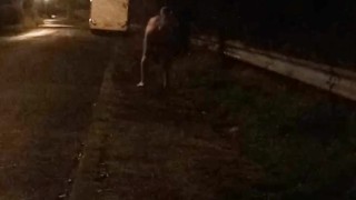 Nude on roadside beside campervan