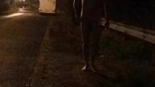 Nude on roadside beside campervan