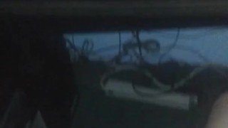 Horney