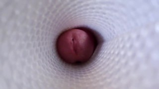 Vue de l'intérieur d'un Fleshlight