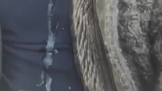 Rideshare stroke and cum