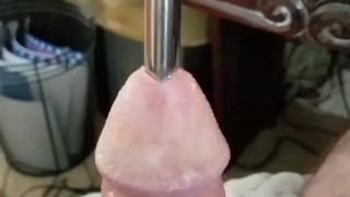 Cock Sounding