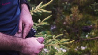 Spacerowałem po lesie i nagle naszła mnie ochota na ostre walenie konie!