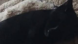 White boy strokes black pussy 