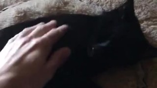 White boy strokes black pussy 
