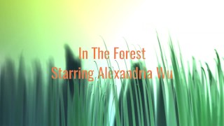 In The Forest Promo