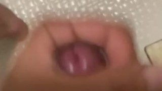 Japanese small cock