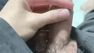 の見せつけちんこ