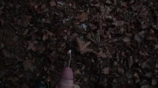 Quick wank in the forrest