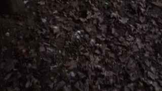 Quick wank in the forrest